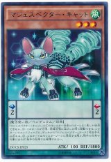 【レア】　マジェスペクター・キャット