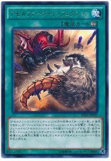 【レア】　アモルファージ・インフェクション