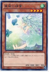 【レア】　裏風の精霊（Bランク）