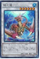 【ウルトラ】　瑚之龍（Bランク）