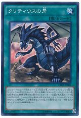 【スーパー】　クリティウスの牙（Bランク）
