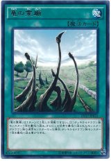 【レア】　竜の霊廟（Bランク）