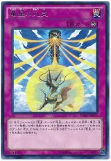 【レア】　竜星の九支（Bランク）