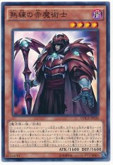【ノーマル】　熟練の赤魔術士