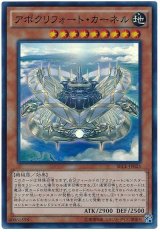 【スーパー】　アポクリフォート・カーネル（Bランク）
