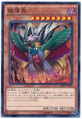 【ノーマル】　獄落鳥