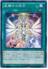 【ノーマル】　星輝士の因子