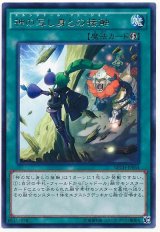 【レア】　神の写し身との接触（Bランク）