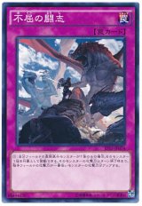 【ノーマル】　不屈の闘志