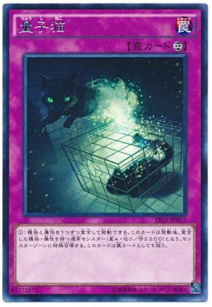 画像1: 【レア】　 量子猫