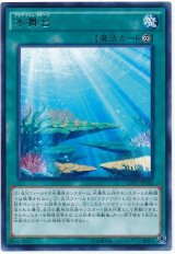 【レア】　水舞台