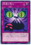 【ノーマル】　黒猫の睨み