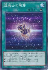 【ノーマル】　超戦士の萌芽
