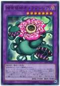 【スーパー】　捕食植物キメラフレシア