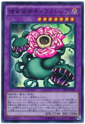 画像1: 【スーパー】　捕食植物キメラフレシア