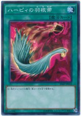 【スーパー】　ハーピィの羽根帚