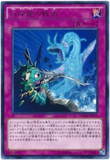 【レア】　幻煌龍の戦渦（Bランク）