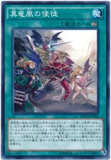 【ノーマル】　真竜凰の使徒（Bランク）