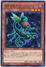 【レア】　捕食植物オフリス・スコーピオ（Bランク）