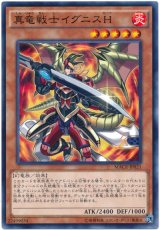【ノーマル】　真竜戦士イグニスH（Bランク）