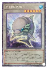 【コレクターズ】　白闘気海豚（Bランク）
