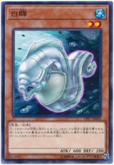 【ノーマル】　白?
