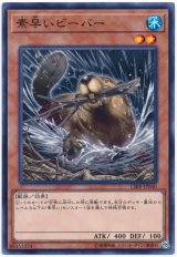 【ノーマル】　素早いビーバー