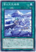 【ノーマル】　雪の天気模様