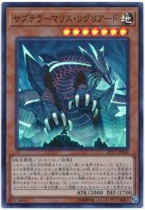 【スーパー】　サブテラーマリス・リグリアード