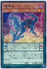 【レア】　魔導獣 ジャッカル（Bランク）