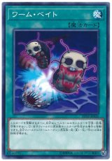 【ノーマル】　ワーム・ベイト