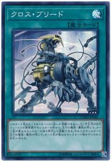 【スーパー】　クロス・ブリード（Bランク）