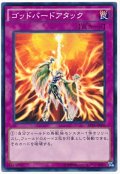 ゴッドバードアタック【ノー】