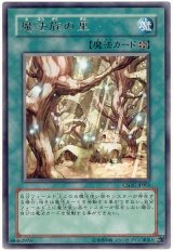 魔法族の里（Bランク）