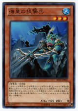 海皇の狙撃兵（Dランク）