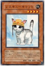 レスキューキャット（Dランク）