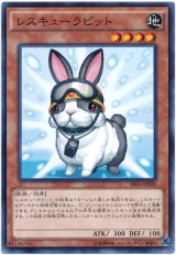 レスキューラビット　（Bランク）