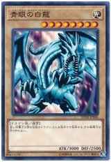 青眼の白龍【ノー】（Bランク）