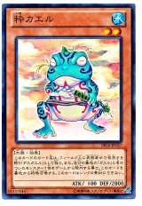 粋カエル（Ｂランク）