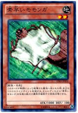 素早いモモンガ（Bランク）