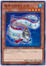 竜宮の白タウナギ（Bランク）