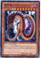 限界竜シュヴァルツシルト（Bランク）