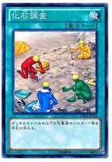 化石調査（Bランク）