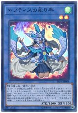 ネフティスの祀り手【スー】