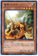 聖騎士ガウェイン（Bランク）