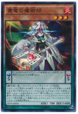 貴竜の魔術師【スー】（Bランク）