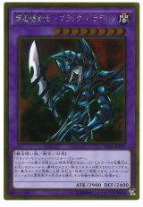 超魔導剣士-ブラック・パラディン【ゴル】（Bランク）