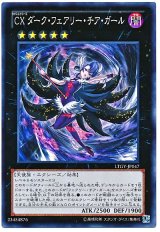 CXダーク・フェアリー・チア・ガール【スー】（Bランク）