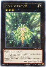 メリアスの木霊（Bランク）