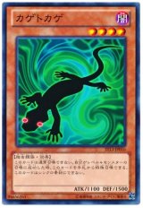 カゲトカゲ（Bランク）